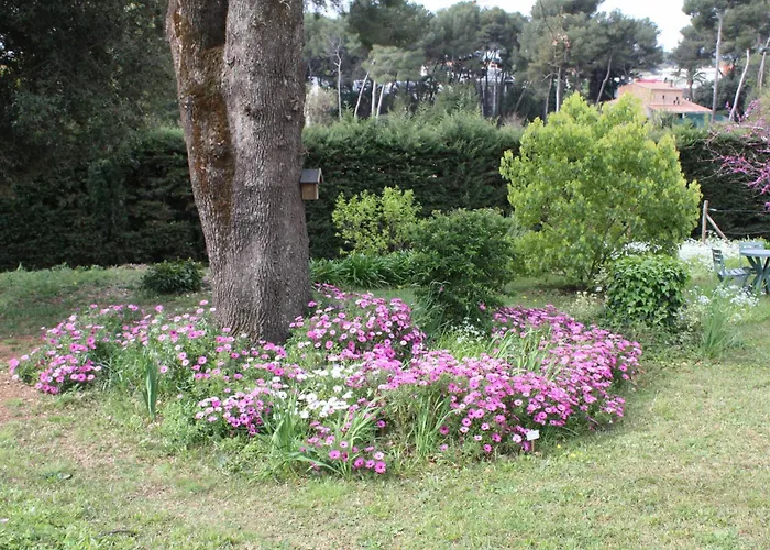 Ecole Buissonniere