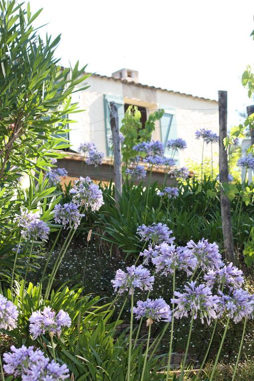 Ecole Buissonniere Appartement Antibes